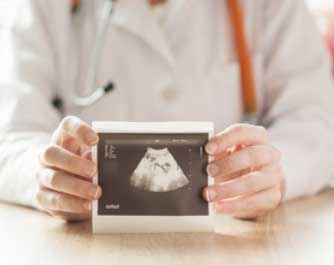 Gynecologist Canberra Fetal Assessment Centre Deakin
