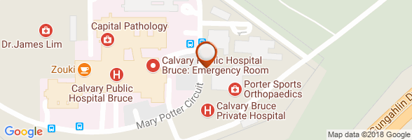 schedule Orthopedist Bruce