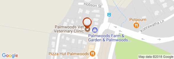 schedule Veterinarian Palmwoods