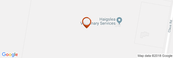 schedule Veterinarian Haigslea