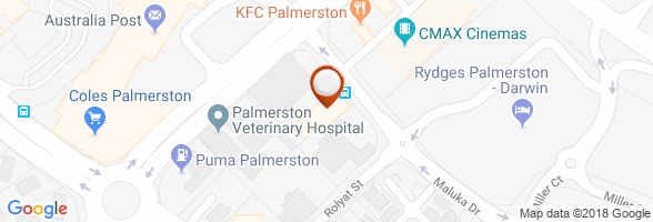 schedule Dentist Palmerston