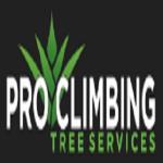 Hours Tree Removal Services Services Climbing Tree Pro