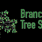 Hours Owner Tree Branch Out Specialist