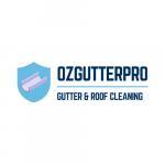 Gutter & Roof Cleaning OZ Gutter Pro Croydon South