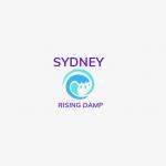 Sydney Rising Damp Treatment Sydney Rising Damp Newtown