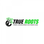 Arborist service True Roots Trees & Landscapes Mortdale