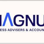 Accountant in Capalaba Magnus Business Advisors and Accountants Capalaba Capalaba